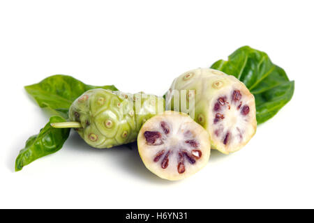 Il Noni (denominato anche come Morinda citrifolia, Rubiaceae Noni, grande morinda, gelso indiano, spiaggia del gelso, formaggio, frutta Gentianale Foto Stock