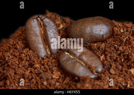 Tre chicchi di caffè tostati sul caffè macinato. Sfondo nero. Foto Stock