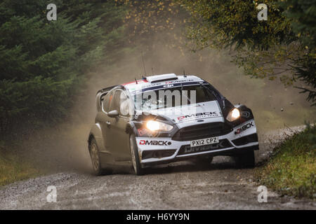 Ott Tanak assume un angolo nel Dyfnant tappa del Rally del Galles GB 2016 in M Sport Fiesta RS WRC Foto Stock