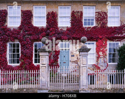 Parthenocissus tricuspidata. Boston Ivy / superriduttore giapponese su una casa in Broadway, Cotswolds, Worcestershire, Inghilterra Foto Stock