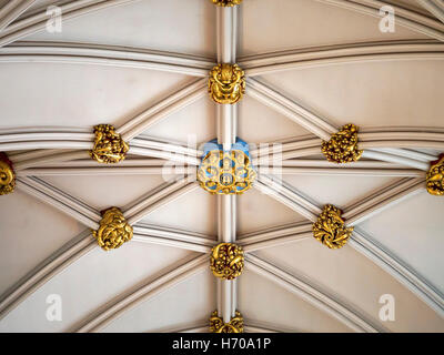 Il soffitto della navata dettaglio, York Minster, Inghilterra Foto Stock