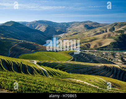 Il Portogallo, nella valle del Douro, il vino di Porto distretto, vigneti e il fiume Douro a Pinhao Foto Stock