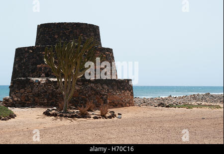 Fuerteventura Isole Canarie, Nord Africa, Spagna: cactus e muro di pietra in un paesaggio marino