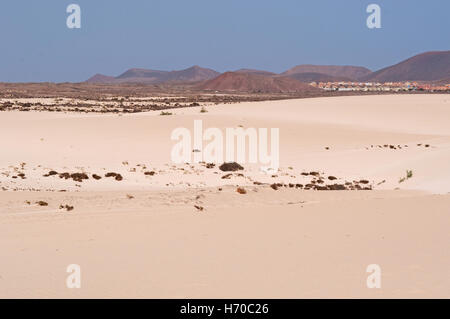 Fuerteventura Isole Canarie: il deserto e le dune di sabbia del parco nazionale in Corralejo Foto Stock