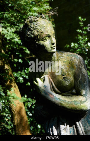 Estremamente raro e bellissimo giardino ben curato con incredibili specie di fiori Foto Stock