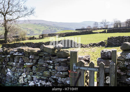 Cancelli e sentieri in Coverdale, Yorkshire Dales Foto Stock