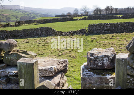 Cancelli e sentieri in Coverdale, Yorkshire Dales Foto Stock