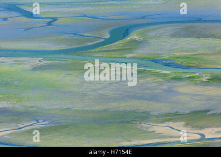 Tidal flats Skagit County Foto Stock