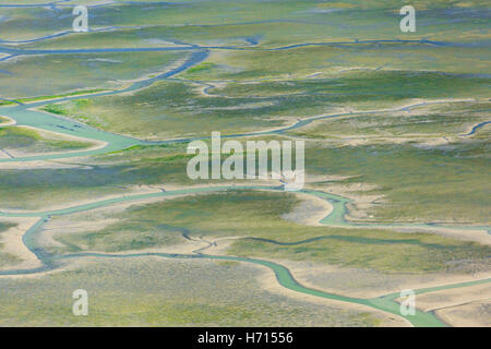 Tidal flats Skagit County Foto Stock