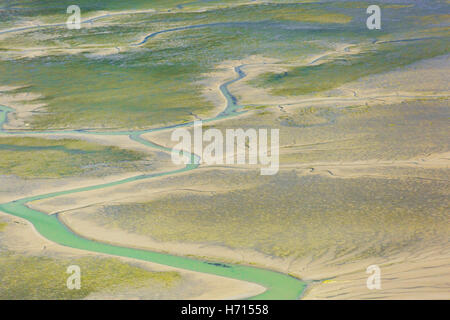 Tidal flats Skagit County Foto Stock