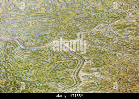 Tidal flats Skagit County Foto Stock