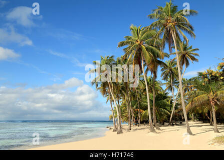 Una bellissima spiaggia di sabbia bianca di Guadalupa (Francia), isole dei Caraibi Foto Stock