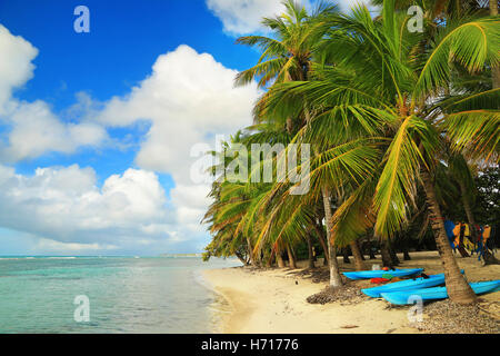 Bella spiaggia di Guadalupa, Isole dei Caraibi Foto Stock