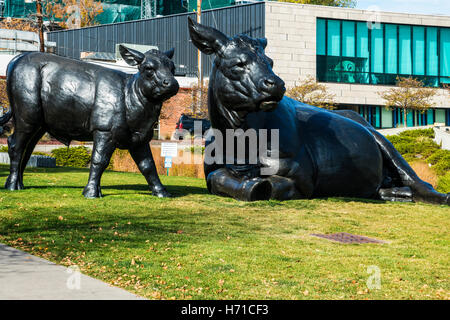 Scultura nero di Angus scozzese mucca e vitello adiacente al Denver Art Museum Foto Stock