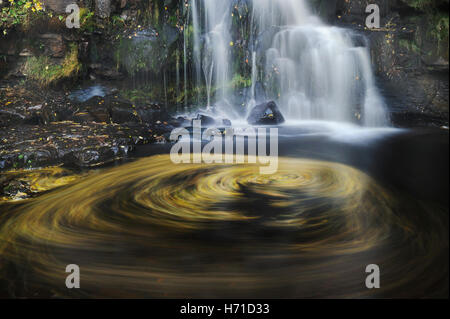 Foglie e una cascata a est forza Gill, Keld, Yorkshire Dales Foto Stock