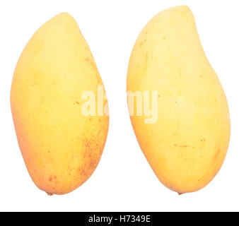 Mango maturo isolato su sfondo bianco Foto Stock