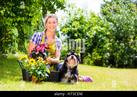 Donna in giardino con fiori e cane Foto Stock