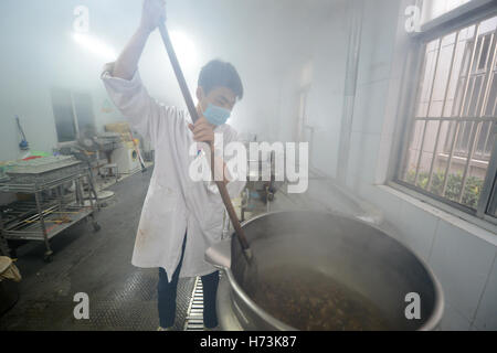 Yangzhou, cinese della provincia di Jiangsu. 1 Nov, 2016. Un medico simmers erbe officinali per tonic all ospedale di Yangzhou della medicina tradizionale cinese (MTC) in Yangzhou, est cinese della provincia di Jiangsu, nov. 1, 2016. Sotto il TCM teoria di 'trattamento pre-diease', tenendo tonica della pasta orale in inverno è creduto per un efficace trattamento preventivo. © Meng Delong/Xinhua/Alamy Live News Foto Stock