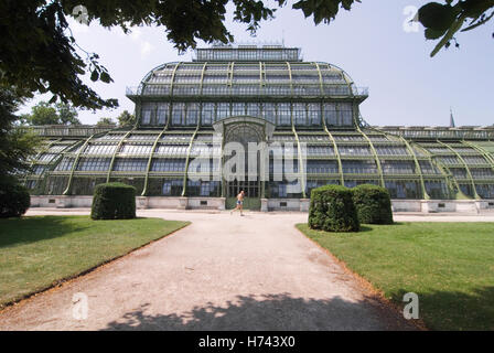 La casa delle palme nel palazzo Schoenbrunn giardini di Vienna in Austria, Europa Foto Stock