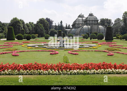 La casa delle palme nel palazzo Schoenbrunn giardini di Vienna in Austria, Europa Foto Stock