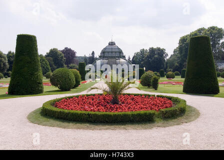 La casa delle palme nel palazzo Schoenbrunn giardini di Vienna in Austria, Europa Foto Stock