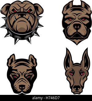 Serie di teste di cani isolati su sfondo bianco. Pitbull, doberman, bulldog. Elemento di design per il logo, l'etichetta, emblema, segno, b Illustrazione Vettoriale