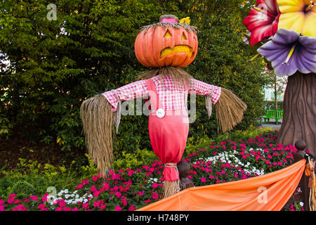 Lo Spaventapasseri di paglia con una testa di zucca di Halloween è in rosso fiori sullo sfondo un giocattolo di albero e l'erba verde. Foto Stock