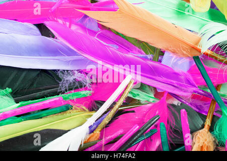 Real uccelli come piume d'oca, Colomba, anatra pollo. Uccello colorate giù per un utilizzo creativo. Bella texture di sfondo, Foto Stock