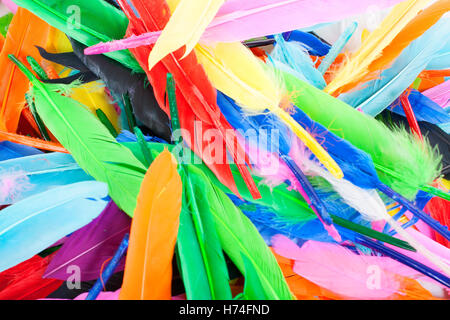 Real uccelli come piume d'oca, Colomba, anatra pollo. Uccello colorate giù per un utilizzo creativo. Bella texture di sfondo, Foto Stock