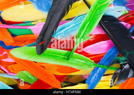 Real uccelli come piume d'oca, Colomba, anatra pollo. Uccello colorate giù per un utilizzo creativo. Bella texture di sfondo, Foto Stock