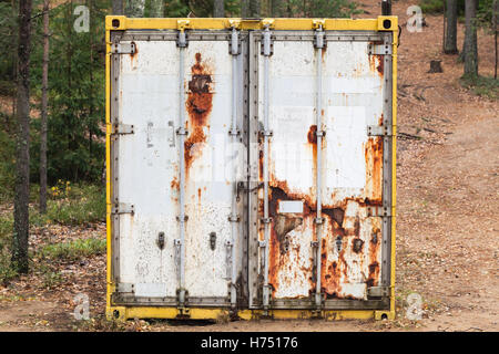 Abbandonato il vecchio arrugginito carico standard contenitore sorge nella foresta, faccia della porta, il fuoco selettivo Foto Stock