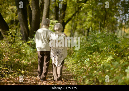 Coppia di anziani va via attraverso il vicolo in autunno park Foto Stock