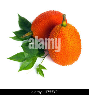 Gac frutto su bianco (denominata anche come Baby Jackfruit, amaro spinoso GAC, gourd Amaro, dolce terra, melone rosso, Cochinchin Goud, Momo Foto Stock