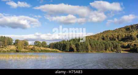 Loch Pityoulish nel Parco Nazionale di Cairngorms. Foto Stock