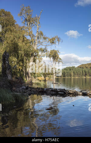 Loch Pityoulish nel Parco Nazionale di Cairngorms. Foto Stock