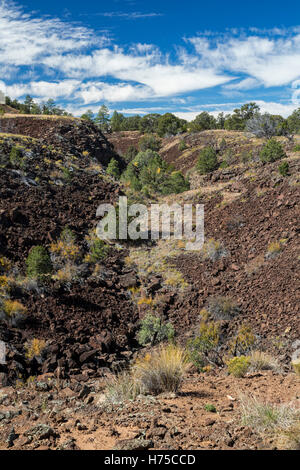 Sovvenzioni, New Mexico - una trincea di lava in El Calderon area di El Malpais monumento nazionale. Foto Stock