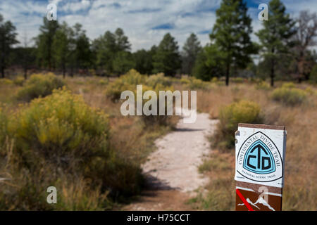 Sovvenzioni, New Mexico - il Continental Divide Trail in El Malpais monumento nazionale. Foto Stock