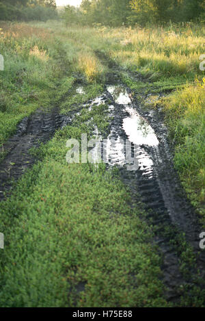 Paese strada fangosa Foto Stock