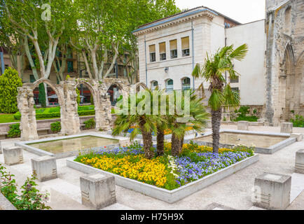 Il letto di fiori di fronte alle rovine del chiostro del monastero benedettino, situato a le Petit Jardin, vicino al Tempio Saint-Martial, Avignone, Francia Foto Stock