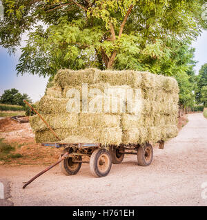 Carrello fattoria con balle di fieno accatastati sulla sinistra la strada Foto Stock