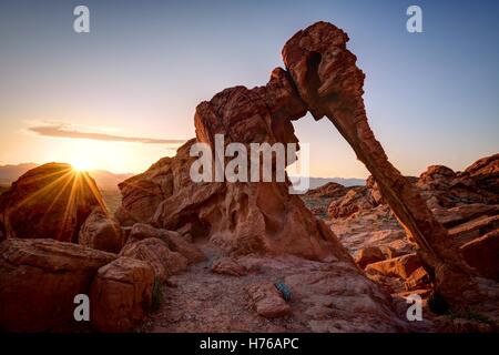 Elephant Rock, la Valle del Fuoco del parco statale, Nevada, Stati Uniti Foto Stock