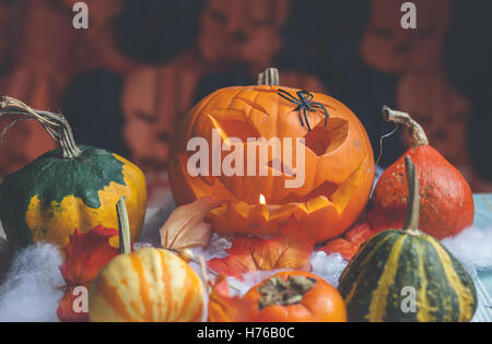 Jack-o-lantern Decorazione Halloween con zucche e ragno in plastica Foto Stock