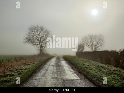 Country Road nella nebbia con Sun che mostra attraverso Foto Stock