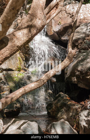 Cascate di un fiume di montagna closeup. Caledonia. Cipro. Foto Stock