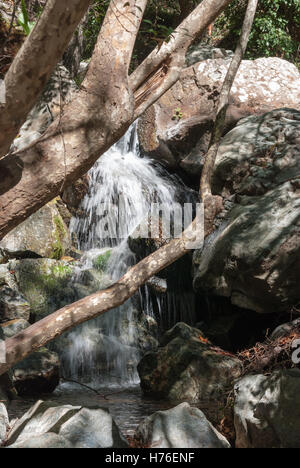 Cascate di un fiume di montagna closeup. Caledonia. Cipro. Foto Stock