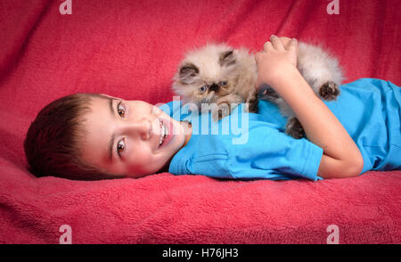 Un giovane, di due mesi di età il punto blu persiano himalayano gattino giocando con un bambino di 8 anni ragazzo simpatico su una trapunta rossa Foto Stock