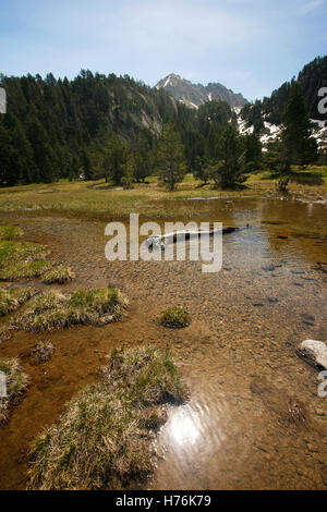 Banhs de Tredos. Pirenei. Lleida, in Catalogna. Spagna Foto Stock