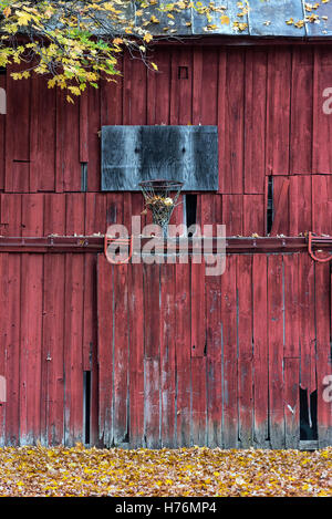 Un trascurato Basketball hoop montato su di un territorio rurale granaio rosso, New York, Stati Uniti d'America. Foto Stock