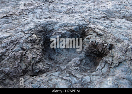 Enorme di orme di dinosauri, valle di Maragua, Bolivia Foto Stock