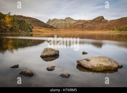 Calma la sera a Blea Tarn, Langdale, con The Langdale Pikes riflessa in background, inglese parco Nazionale del Distretto dei Laghi Foto Stock